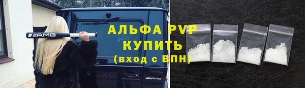 ГАЛЛЮЦИНОГЕННЫЕ ГРИБЫ Верея